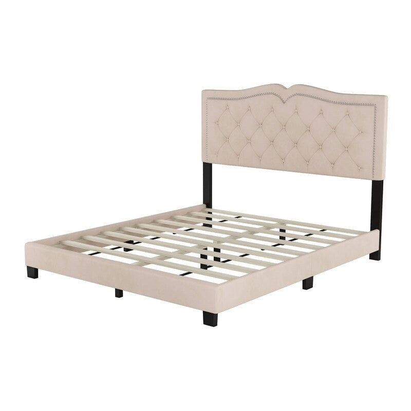 Cadre de lit tapissé Queen Size avec design riveté, lit plateforme moderne en velours avec tête de lit capitonnée